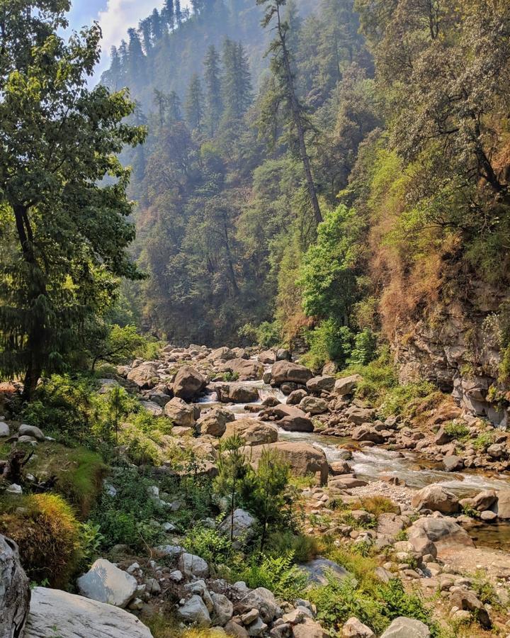 Tirthan Anglers' Retreat Banjār Exterior foto